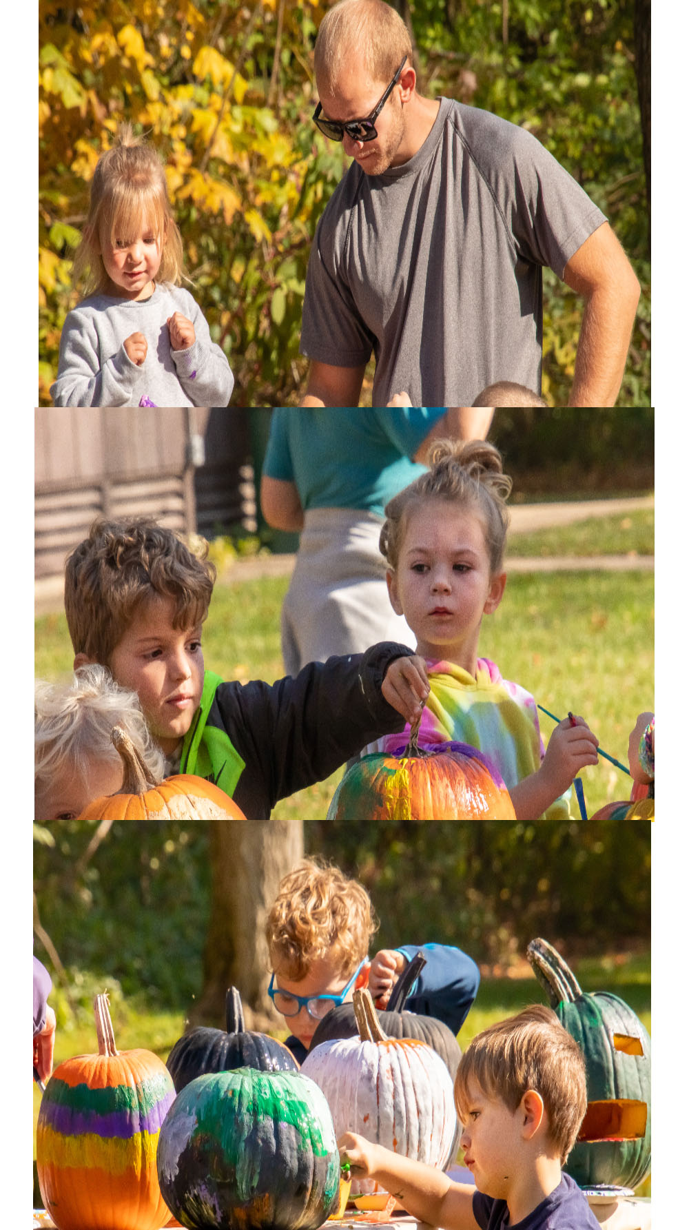 friends of potato creek state park photo